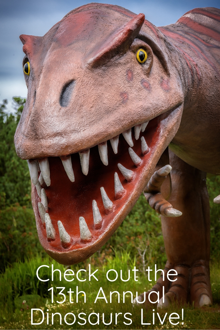 What does everyone think of in February? DINOSAURS! Well, probably not, but they are still totally awesome! If you are in the McKinney area during February you should have dinosaurs on the brain for one very cool reason: the 13th Annual Dinosaurs Live exhibit! 