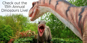 What does everyone think of in February? DINOSAURS! Well, probably not, but they are still totally awesome! If you are in the McKinney area during February you should have dinosaurs on the brain for one very cool reason: the 13th Annual Dinosaurs Live exhibit! 