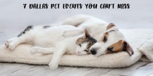 When it comes to Dallas living you can't go wrong with these 7 Dallas pet events. These 7 Dallas pet events you can't miss are pet friendly fun for the whole family. You can take your furry pal out to get some fresh air, explore Dallas at your side, and of course meet some other pet lovers along the way. 