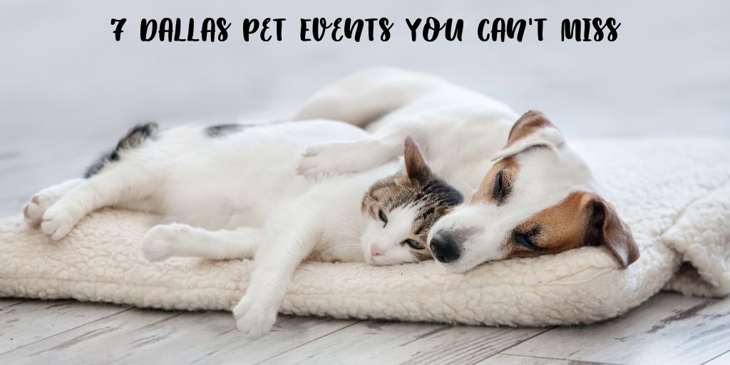 When it comes to Dallas living you can't go wrong with these 7 Dallas pet events. These 7 Dallas pet events you can't miss are pet friendly fun for the whole family. You can take your furry pal out to get some fresh air, explore Dallas at your side, and of course meet some other pet lovers along the way. 