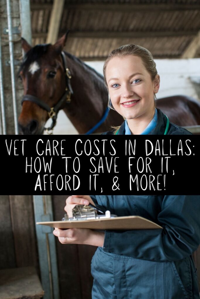 Vet Care Costs In Dallas How To Save For It, Afford It, & More